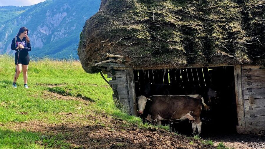 From Cluj-Napoca: Apuseni Mountains Hiking Guided Day Tour - From Cluj to Posaga de Sus