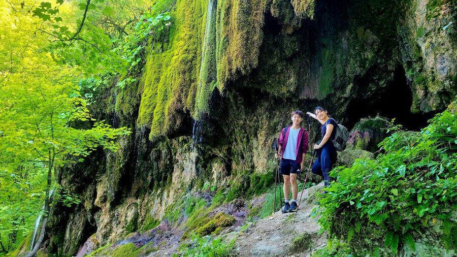 From Cluj-Napoca: Apuseni Mountains Hiking Guided Day Tour - The beech forest climb