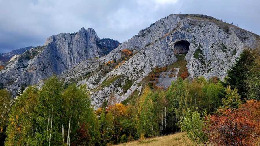 From Cluj-Napoca: Apuseni Mountains Hiking Guided Day Tour - Scarita Peak at 1,384 meters