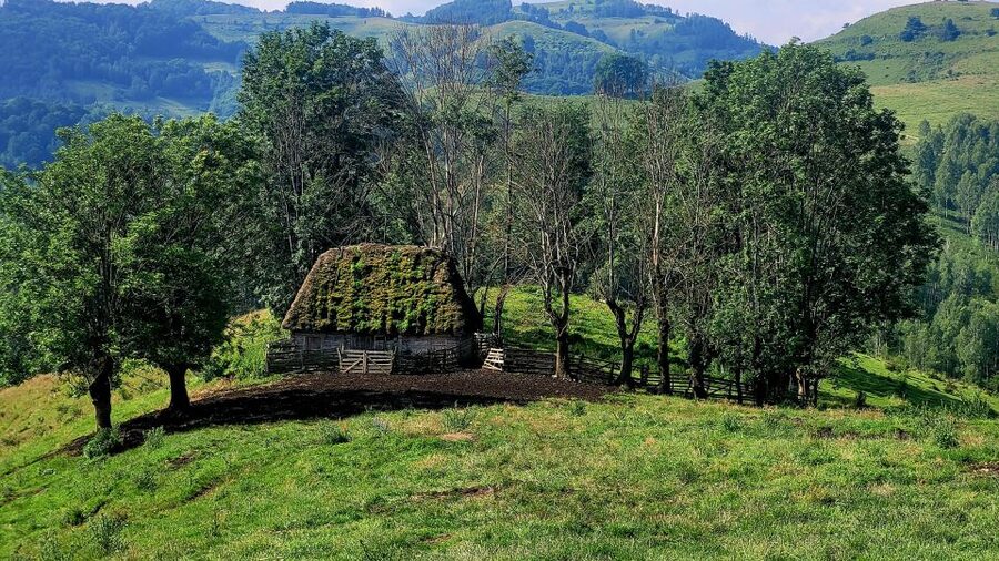 From Cluj-Napoca: Apuseni Mountains Hiking Guided Day Tour - Wildlife, flowers, and fungi along the way