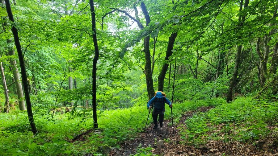 From Cluj-Napoca: Apuseni Mountains Hiking Guided Day Tour - What the $115 price really covers