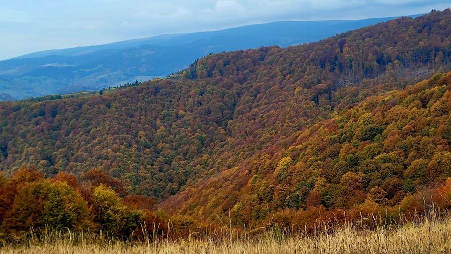 From Cluj-Napoca: Apuseni Mountains Hiking Guided Day Tour - Should you book the Scarita-Belioara hike?