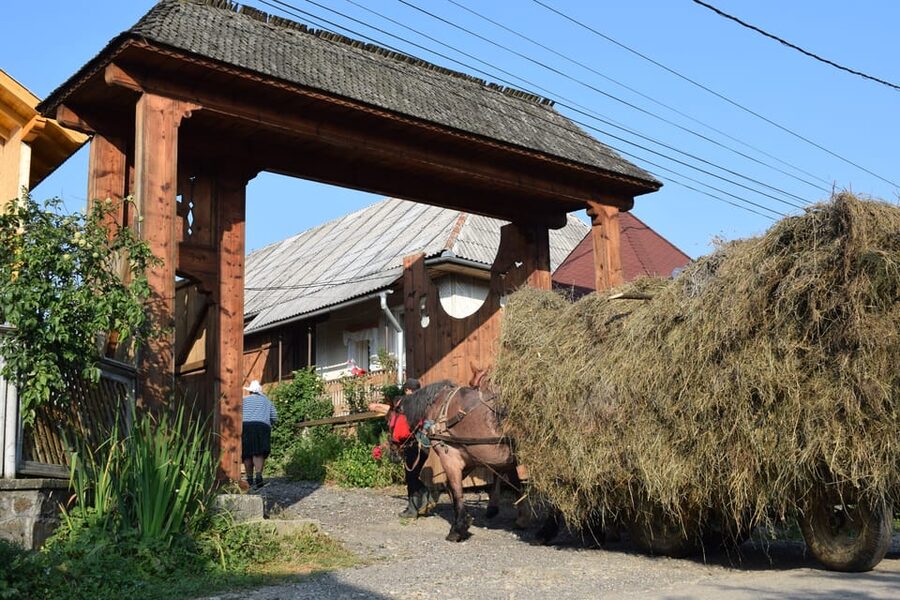 From Cluj-Napoca: Maramures Day Tour - Lunch with local people