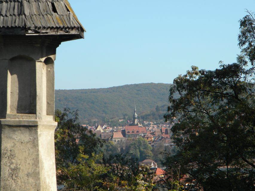 From Cluj: Sighișoara and Church of Biertan Guided Tour - The guide matters more than the vehicle