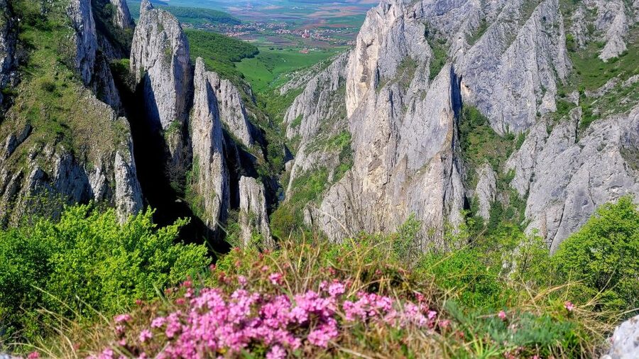 From Cluj: Turda Salt Mine, Gorge, and Remetea Full-Day Trip - Is the $131 price fair?