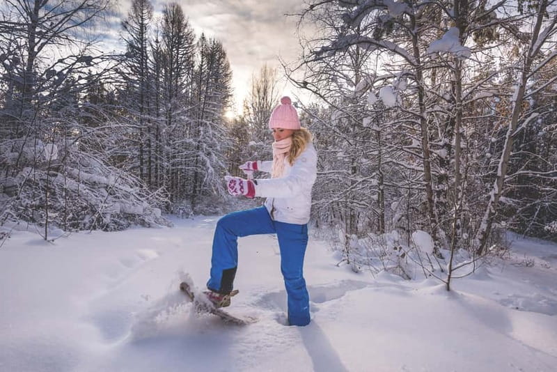 From Cluj: Winter Walking Trip on the Great Mountain - Is $115 good value?