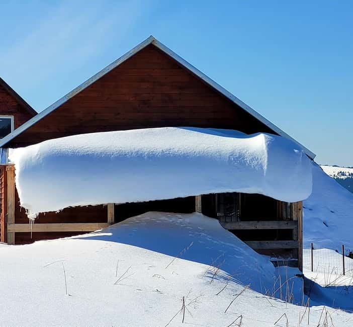 From Cluj: Winter Walking Trip on the Great Mountain - Practical planning from Cluj