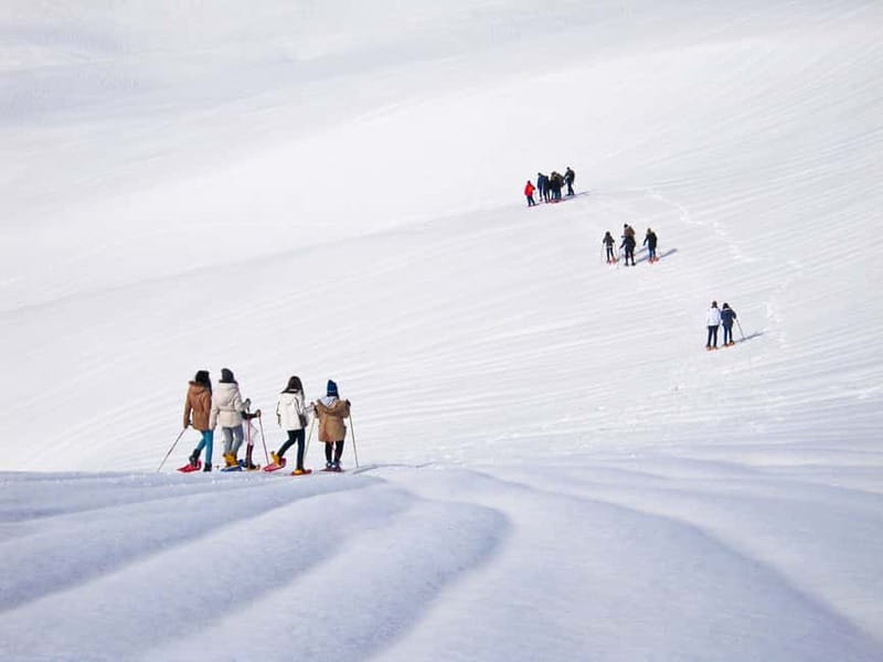 From Cluj: Winter Walking Trip on the Great Mountain - Learning to walk on snowshoes
