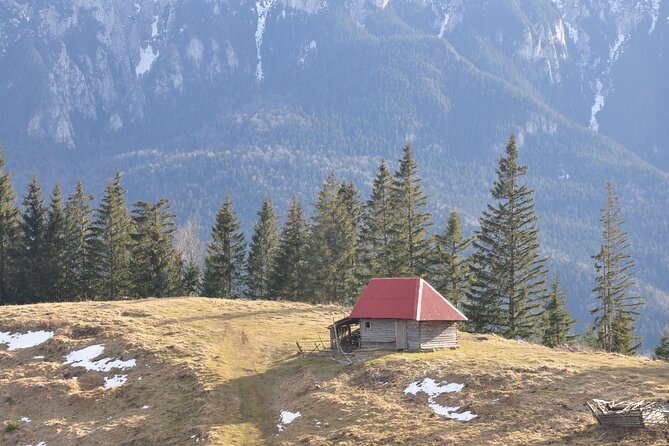 Hike in the Wild Private Photo Tour - Seven hours on foot through unmarked forest roads