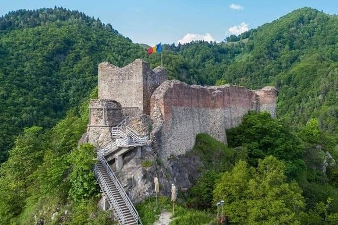 Hike to Poenari Fortress, Vidraru Dam, Argeș Monastery - Private - Bears, roadside fruit, and flexible guiding