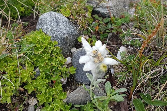 Hiking in Bucegi Mountains in the Carpathians, Private tour - What private guiding changes