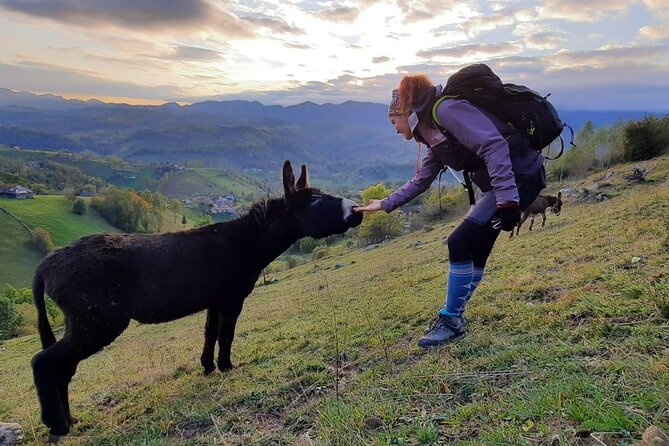 Hiking thought the best mountain villages in Romania-Private tour from Brasov - Food, drinks, and what to bring