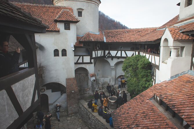 Legends&Wildlife Awaits: Dracula's Castle & Bear Sanctuary - Why the bear sanctuary is the real heart of the day