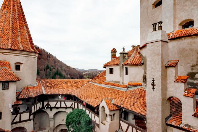 Legends&Wildlife Awaits: Dracula's Castle & Bear Sanctuary - What the price means in practical terms