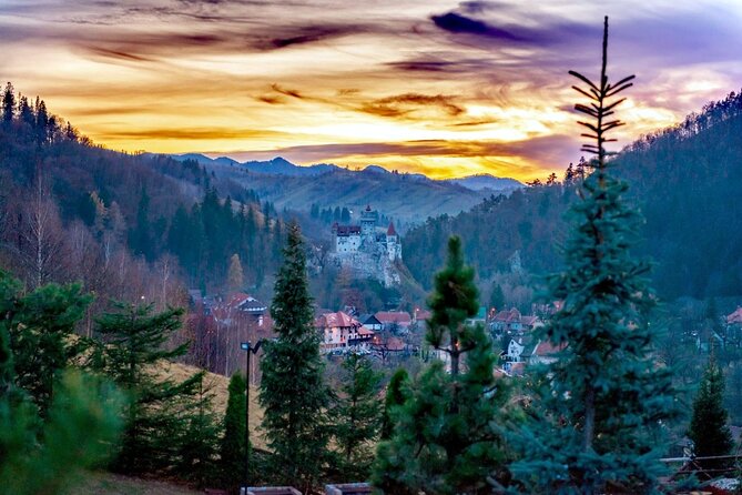 Legends&Wildlife Awaits: Dracula's Castle & Bear Sanctuary - Who will enjoy this day most