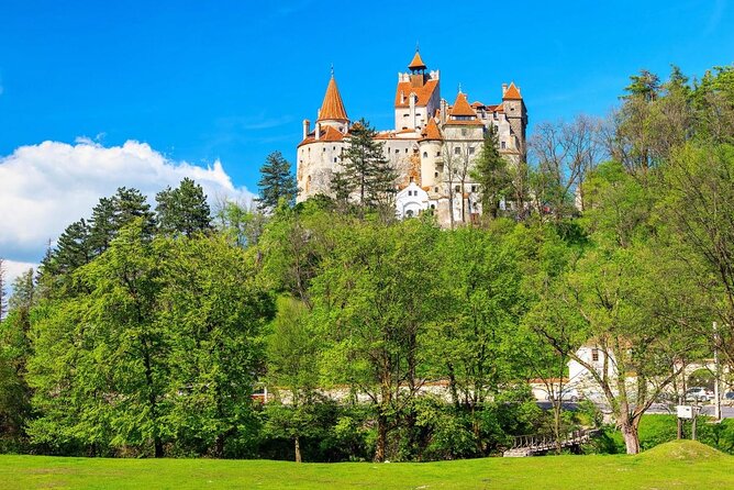 Libearty Bear Sanctuary and Dracula's Castle - Day Tour from Bucharest - Why the bear sanctuary makes this trip worthwhile