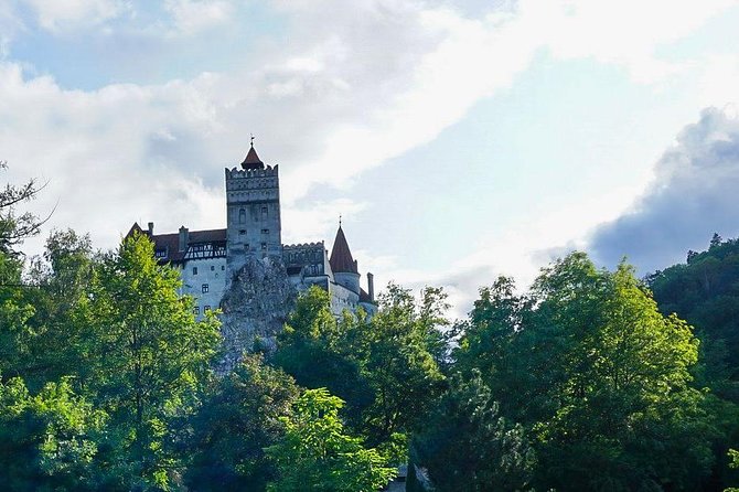 Libearty Bear Sanctuary and Dracula's Castle - Day Tour from Bucharest - Who should book this Bucharest day trip?