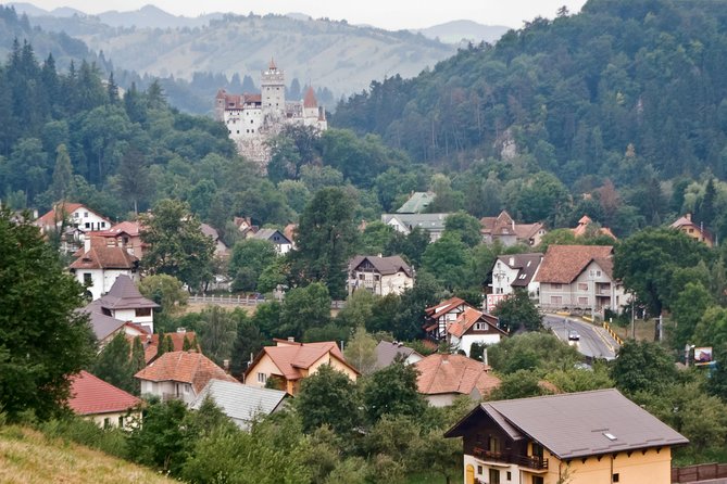Libearty Bear Sanctuary and Dracula's Castle - Day Tour from Bucharest - My verdict: book it for the bears, not just Dracula