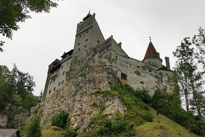 Libearty Brown Bears Sanctuary & Fun with ATV or Buggy Quad Tour - Bran Castle and the Dracula Story