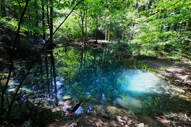 Nera Gorge National Park - Private Day Tour from Timisoara - Key things to know before you book