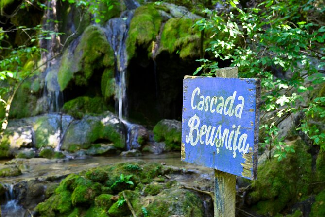 Nera Gorge National Park - Private Day Tour from Timisoara - Why this day trip works from Timișoara