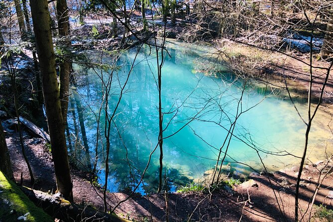 Nera Gorge National Park - Private Day Tour from Timisoara - Beușnița Waterfall and the seasonal catch