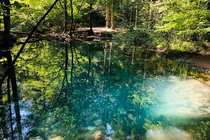 Nera Gorge National Park - Private Day Tour from Timisoara - What the private guide adds