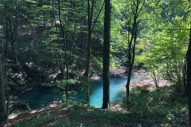 Nera Gorge National Park - Private Day Tour from Timisoara - Who will enjoy this tour most