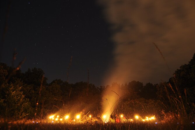 Night Tour in Hoia Baciu Forest - Why Hoia Baciu feels different at night