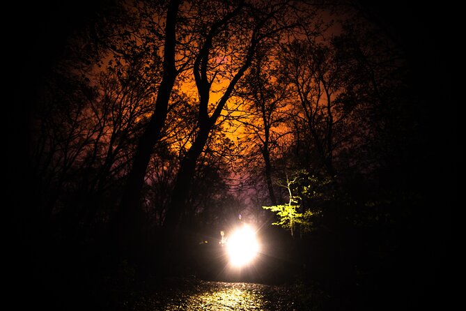 Night Tour in Hoia Baciu Forest - Meeting Alex or Tudor after dark