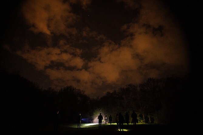 Night Tour in Hoia Baciu Forest - The walk to Poiana Rotunda