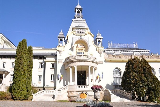 One Day Private Tour to Peles and Dracula Castles & Brasov City - What the $216.25 price really buys