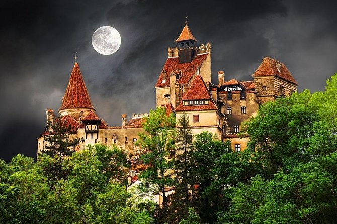 One day trip Bear Sanctuary, Dracula Castle, Rasnov Fortress from Brasov - Libearty Bear Sanctuary: the emotional center of the day