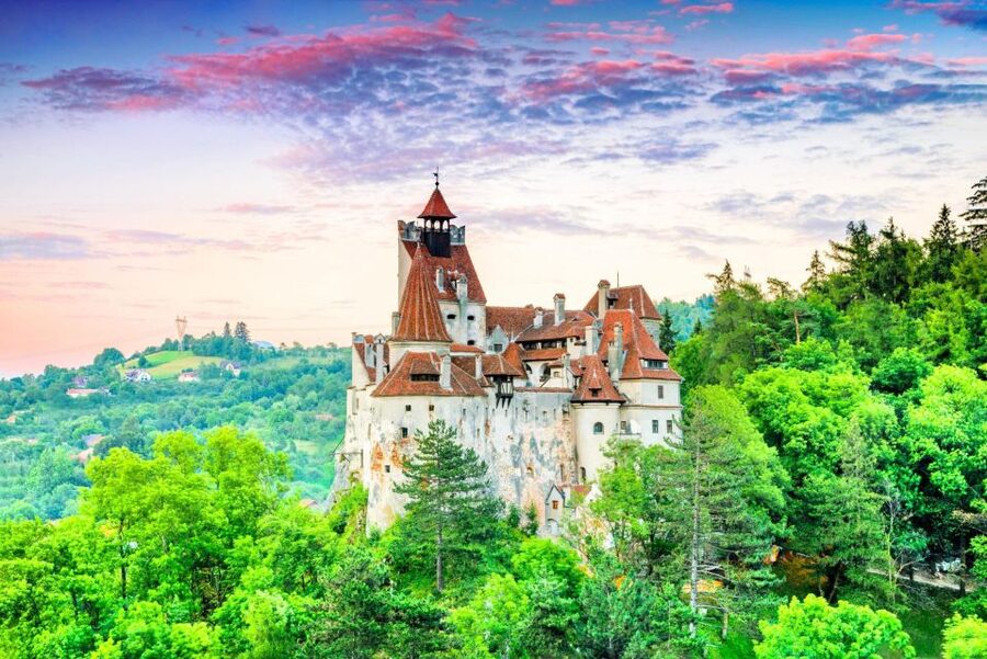 One day trip Bear Sanctuary, Dracula Castle - Meeting the bears at Libearty in Zărnești