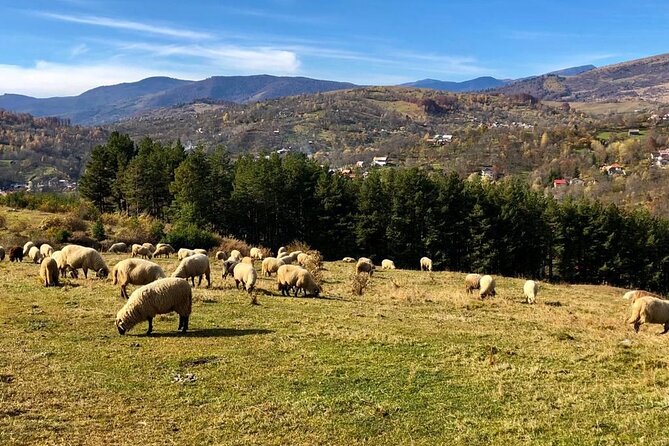 Original Carpathian Village Experience and Sinaia in one day tour - Meeting village life and fortified churches