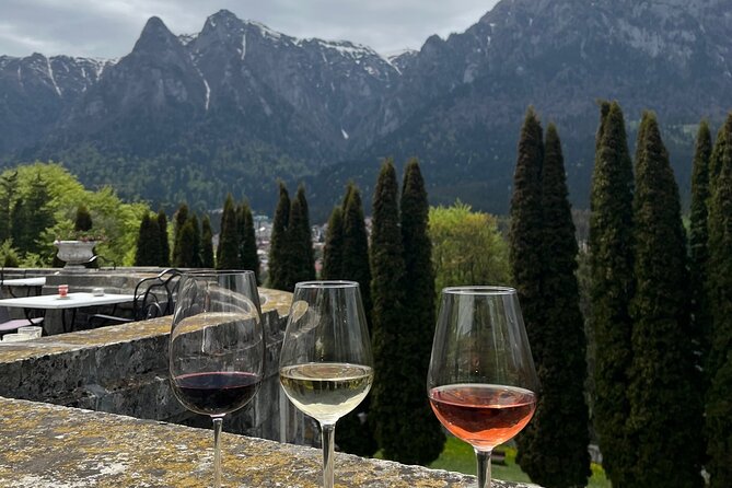 Peles & Cantacuzino Castles: Gourmet Wine & Cultural Day trip - The road from Bucharest: comfort versus congestion