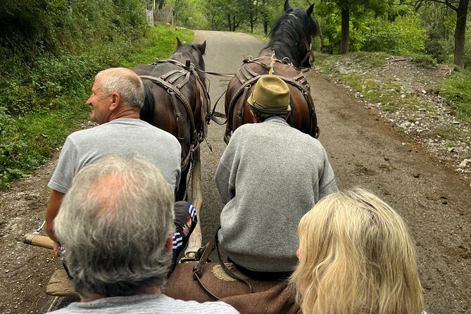 Peles castle and authentic Romanian village experience - day trip - Passing University Square and the Palace of Parliament