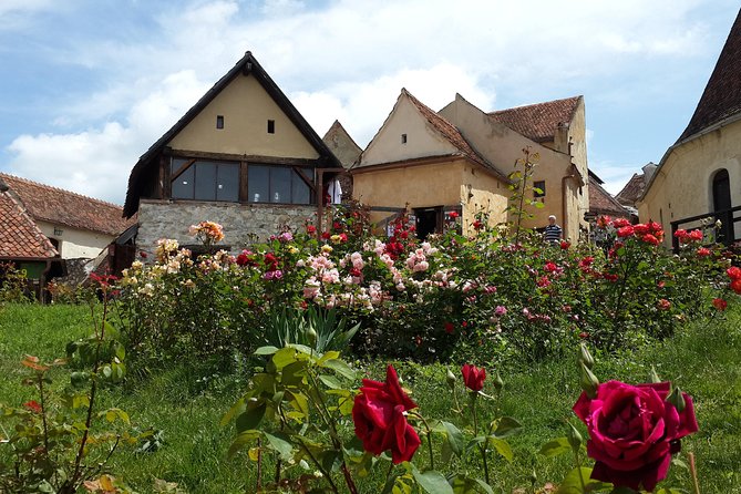 Peles Castle, Bran Castle, Rasnov Fortress and Sinaia Monastery Tour from Brasov - Why this day trip works from Brasov