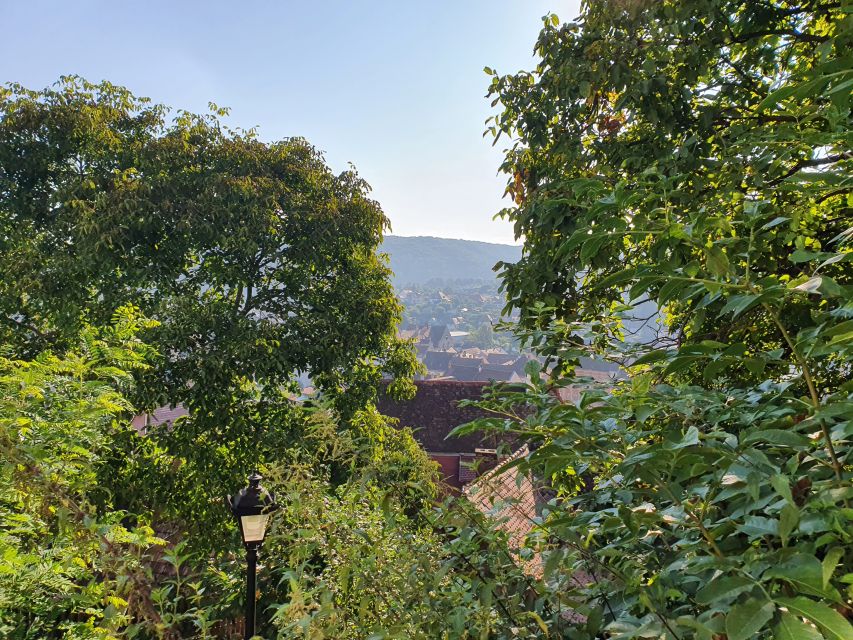 Peleș Castle, Bran Castles and Brasov City - Private Tour - What the $370 price includes, and what it leaves out
