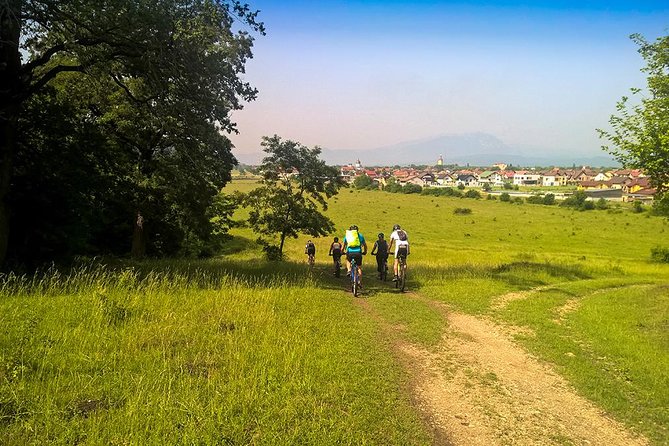 Perfect bike tour around Brasov - Under the old oaks