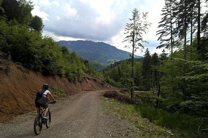 Perfect bike tour around Brasov - A traditional lunch stop, at your own cost