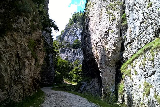 Perfect bike tour around Brasov - Practical booking advice