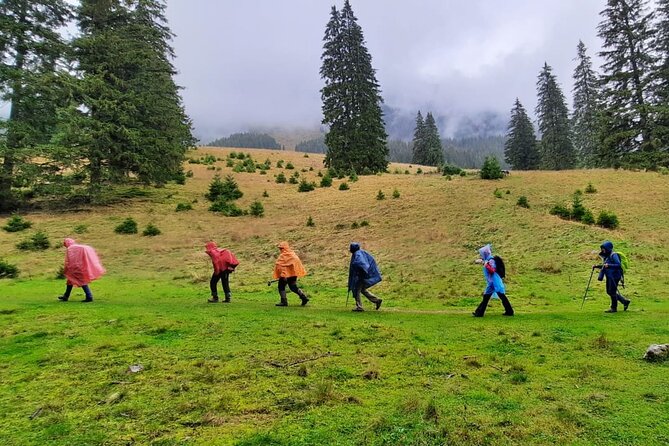 Pestera and Magura Full-Day Private Walking Tour from Brasov - Key points to know before booking