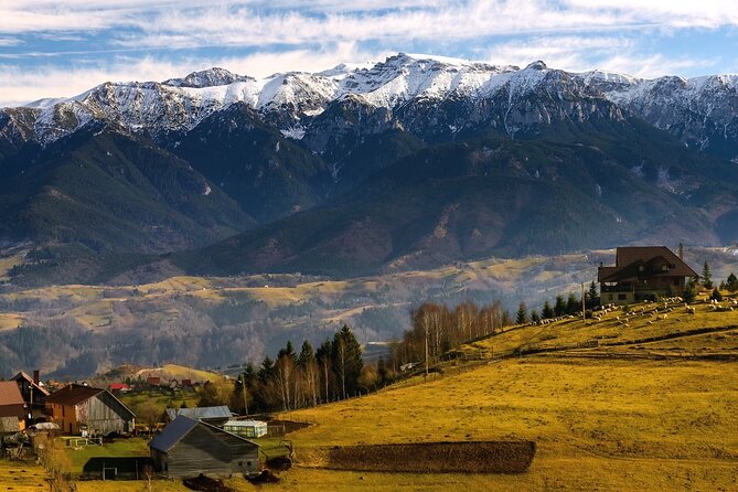Pestera and Magura Full-Day Private Walking Tour from Brasov - What the private format adds