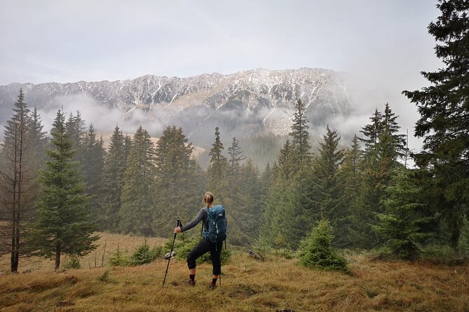 Pestera and Magura Full-Day Private Walking Tour from Brasov - What makes the guide important