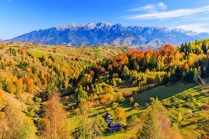 Pestera and Magura Full-Day Private Walking Tour from Brasov - The 8:30 a.m. pickup and private ride