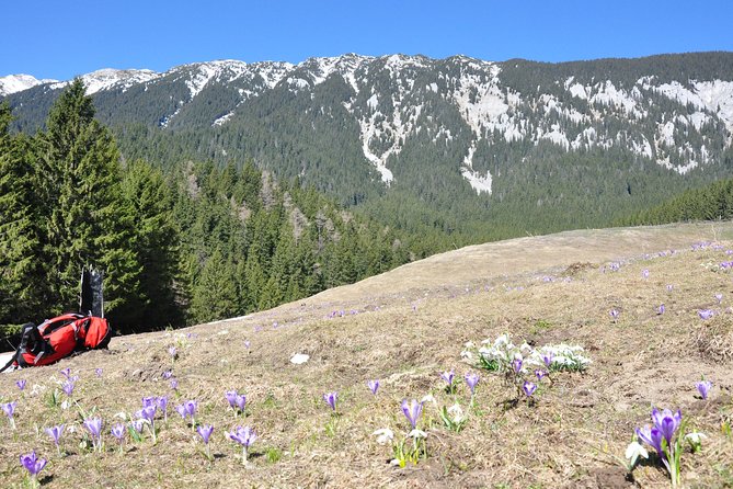 Piatra Craiului National Park Private Hiking Tour from Brasov - Lunch is part of your planning