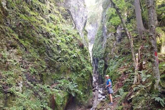 Piatra Craiului National Park Private Hiking Tour from Brasov - Winter, fog, and changing conditions