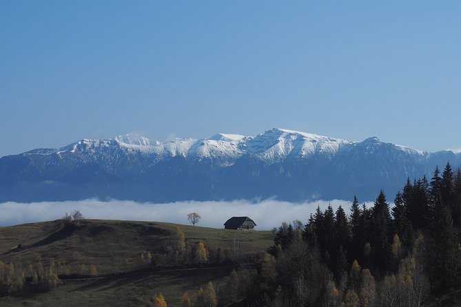 Piatra Craiului National Park Private Hiking Tour from Brasov - Adding Bran Castle on the way home