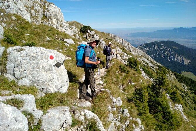 Piatra Craiului National Park Private Hiking Tour from Brasov - Is $126.98 good value?